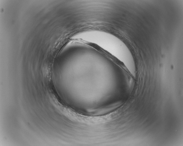 X0000052640031200507221827