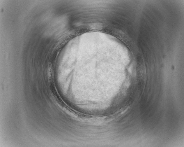 X0000052640032200507221827