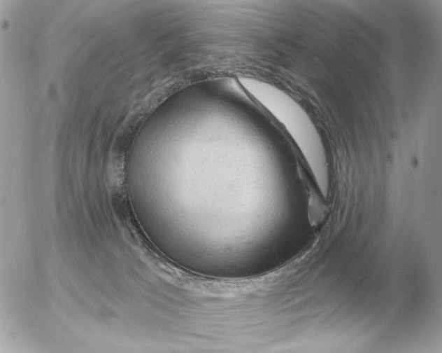 X0000052640033200507221827