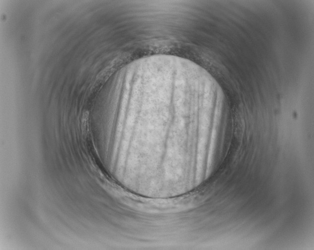 X0000052640034200507221827