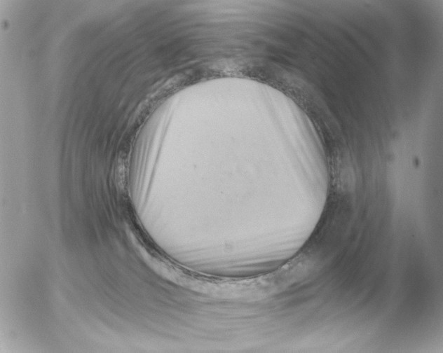 X0000052640036200507221827