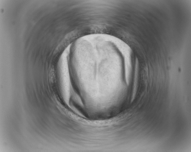 X0000052640038200507221827