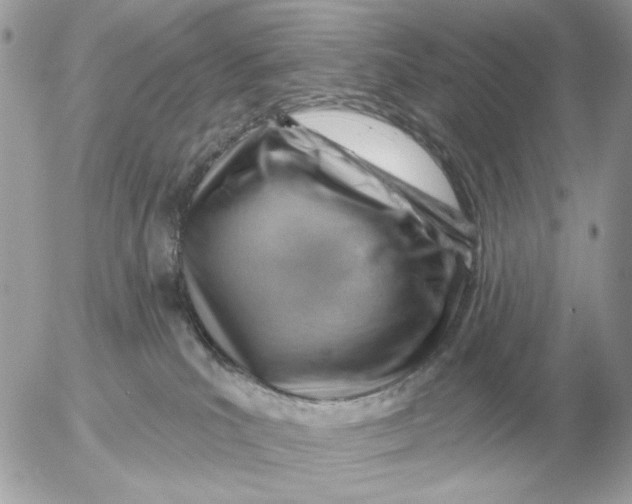 X0000052640039200507221827