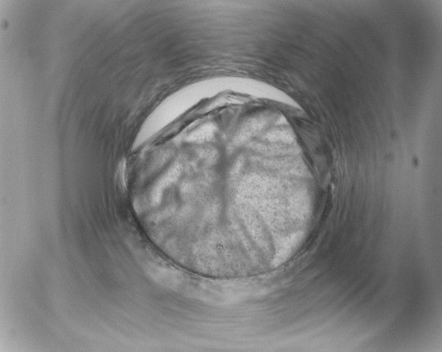 X0000052640041200507221827