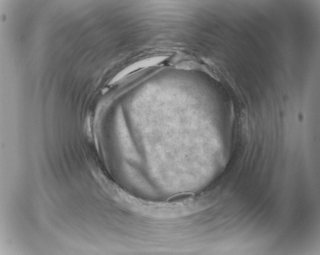 X0000052640042200507221827