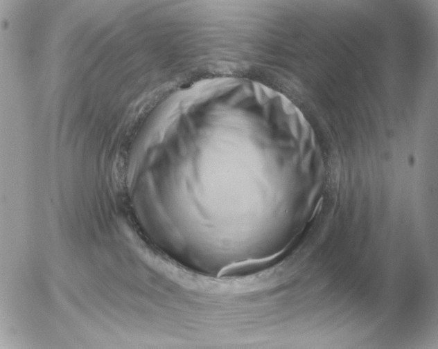 X0000052640043200507221827