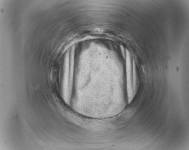 X0000052640044200507221827