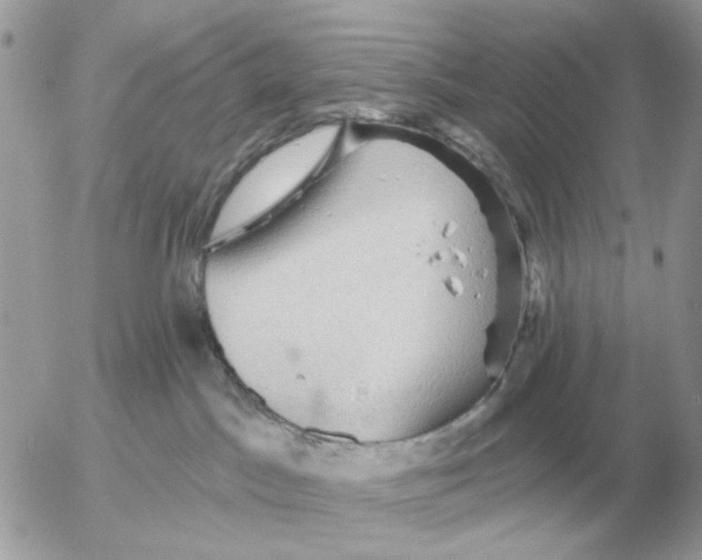 X0000052640045200507221827