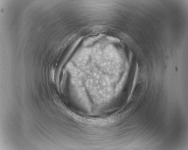 X0000052640046200507221826