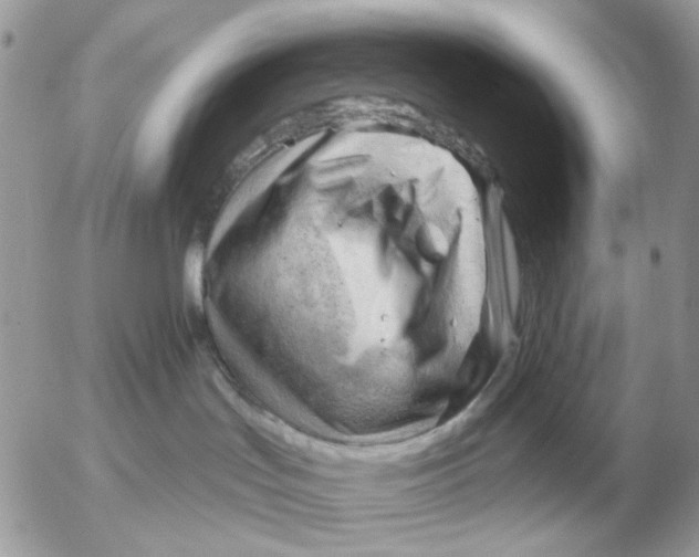 X0000052640047200507221826