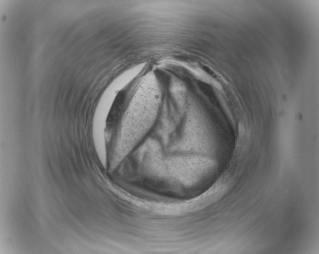 X0000052640048200507221826