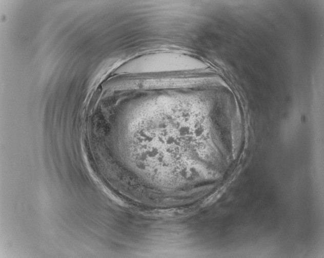 X0000052640049200507221826