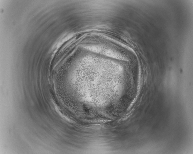 X0000052640050200507221826