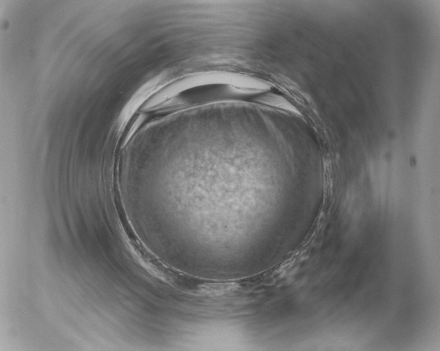 X0000052640051200507221826