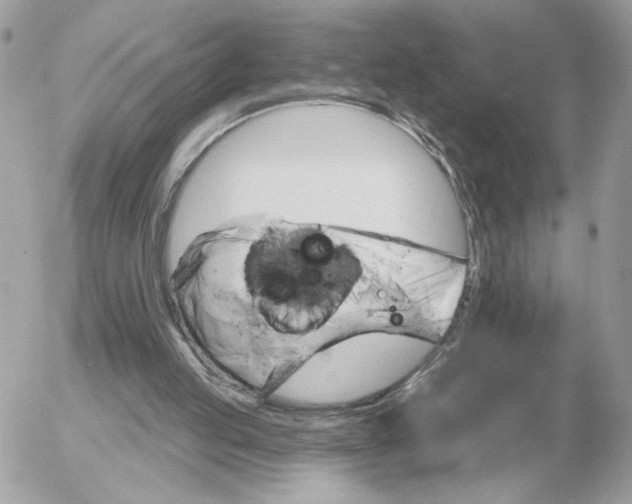 X0000052640053200507221826