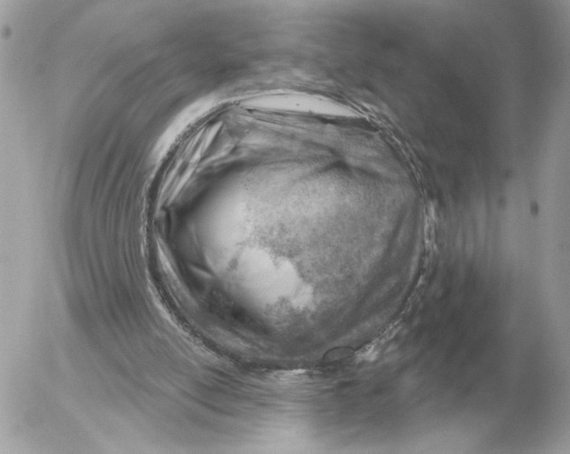 X0000052640054200507221826