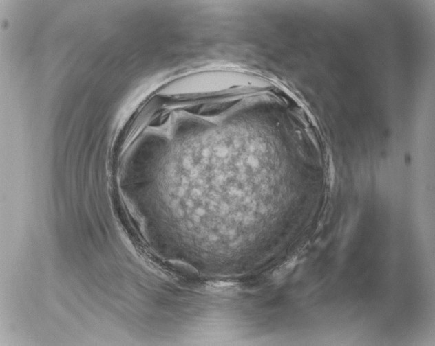 X0000052640055200507221826