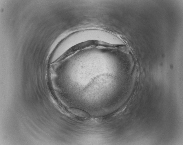 X0000052640056200507221826