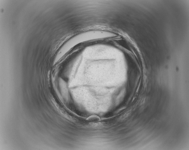 X0000052640057200507221826