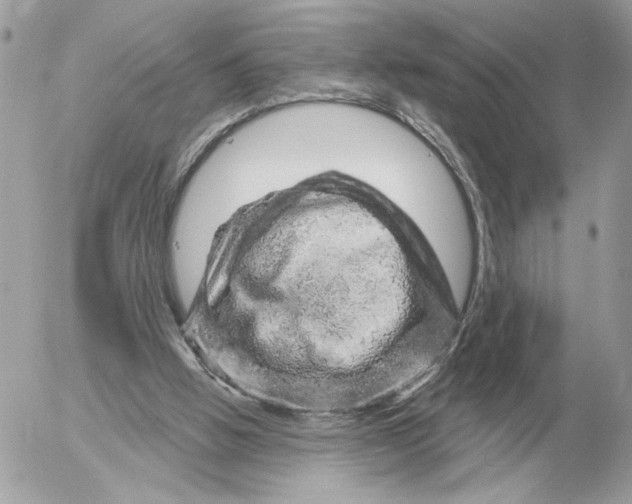 X0000052640058200507221826