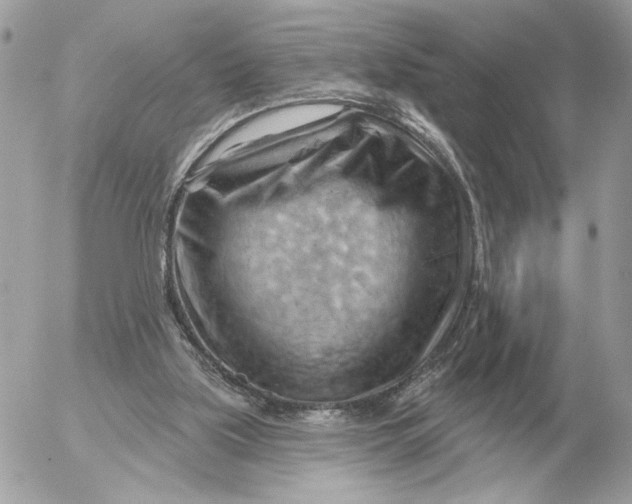 X0000052640059200507221826