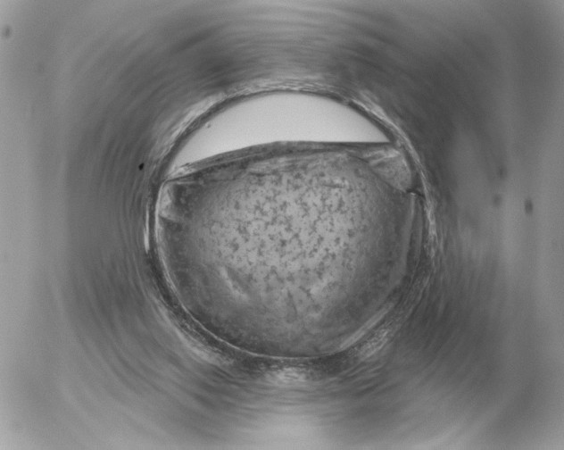 X0000052640062200507221826