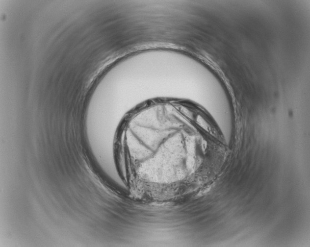 X0000052640063200507221826