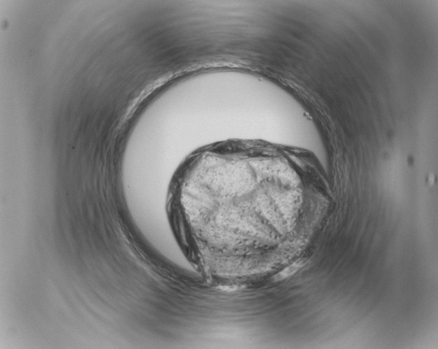 X0000052640064200507221826