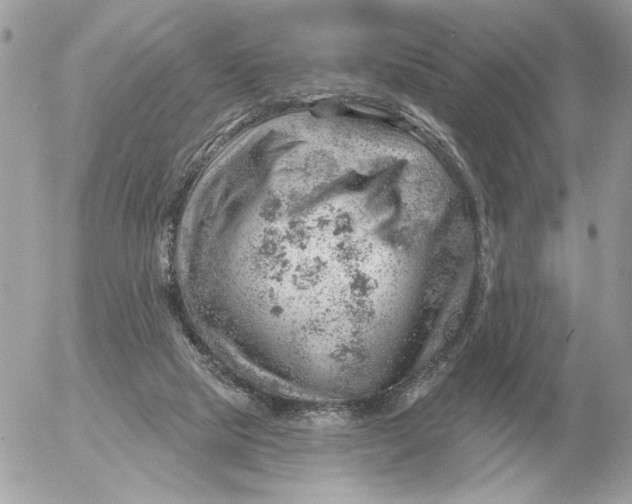 X0000052640065200507221826