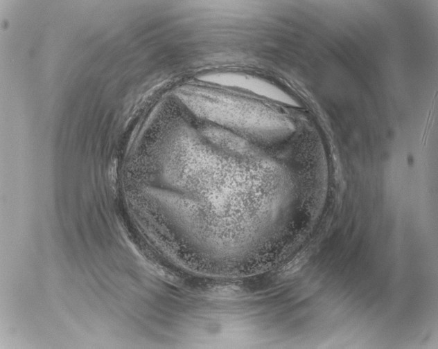 X0000052640066200507221826