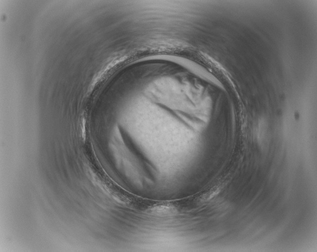 X0000052640067200507221826