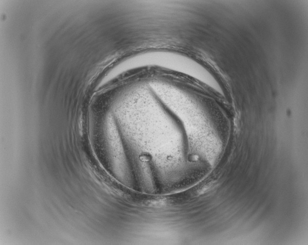 X0000052640068200507221826