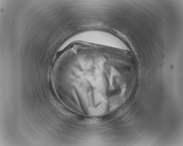 X0000052640069200507221826