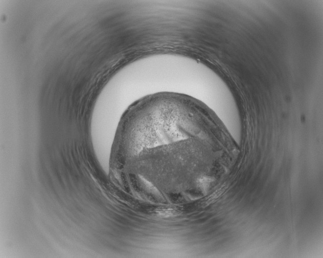 X0000052640070200507221826