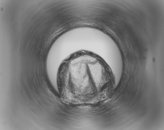 X0000052640071200507221826