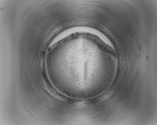 X0000052640072200507221826