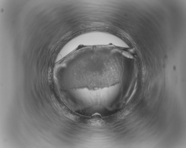 X0000052640073200507221826