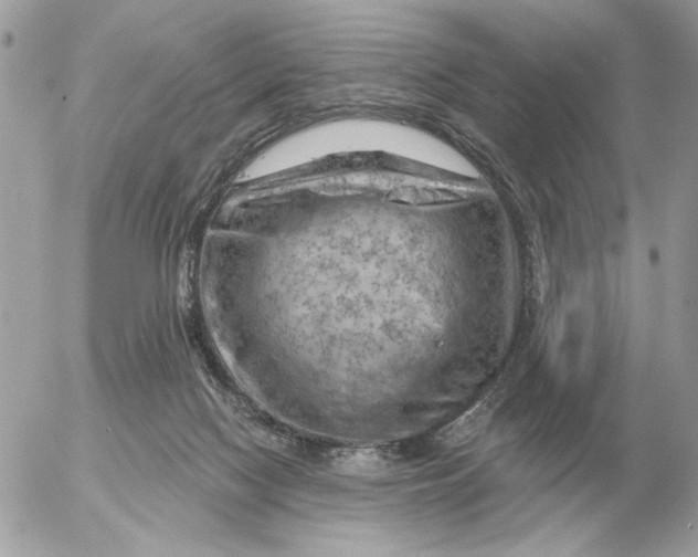 X0000052640074200507221826