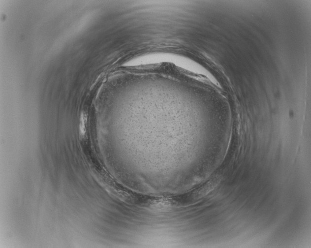 X0000052640075200507221826