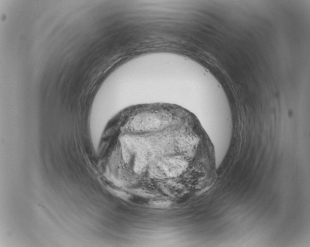 X0000052640076200507221826