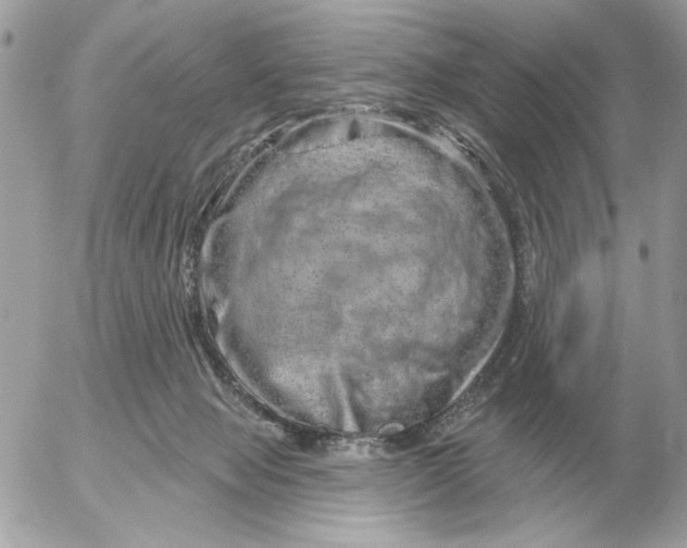 X0000052640077200507221826