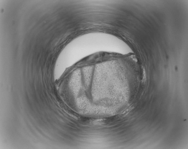 X0000052640078200507221826