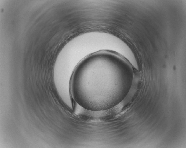 X0000052640079200507221826