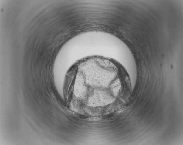 X0000052640080200507221826