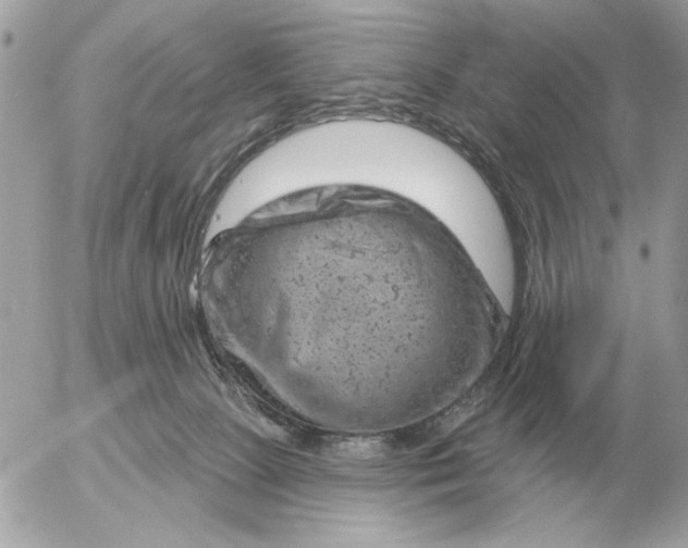 X0000052640081200507221826