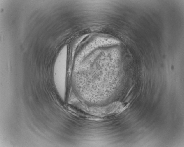 X0000052640082200507221826