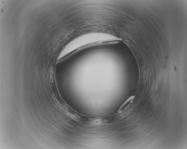 X0000052640083200507221826