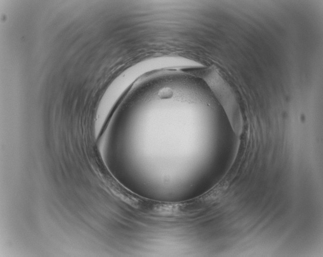 X0000052640084200507221826