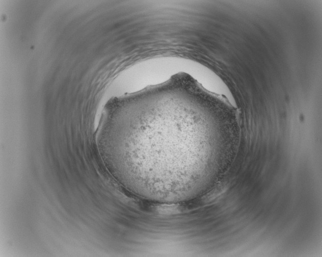 X0000052640085200507221826