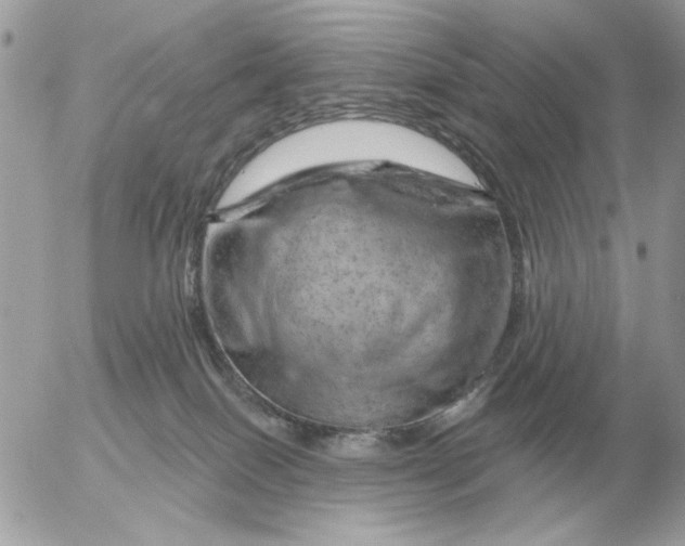 X0000052640086200507221826